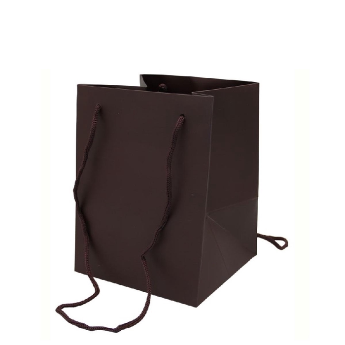 <h4>Tassen Olympic 25*18*18cm</h4>