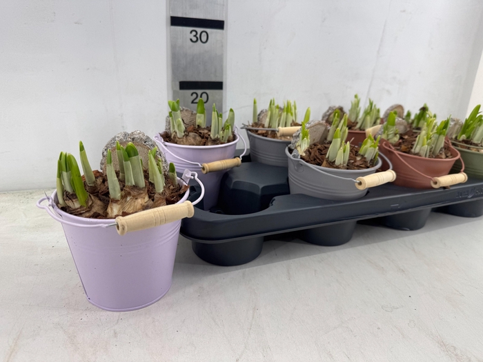 <h4>ARR N TETE A TETE</h4>