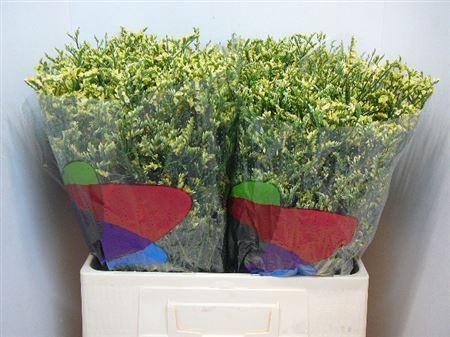 <h4>Lim Sin China Lemon</h4>