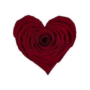 Hart xxl red-01