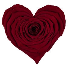 <h4>Hart xxl red-01</h4>