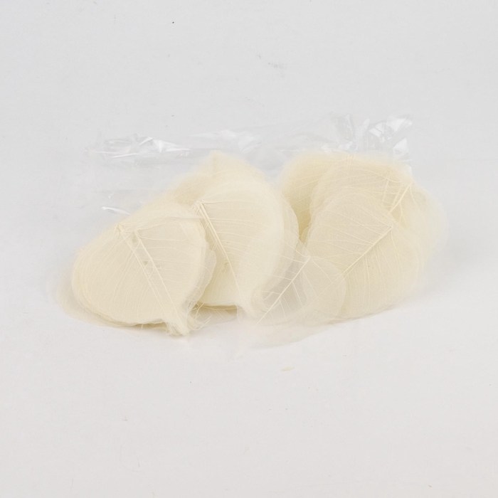 <h4>Skeleton Leaves Bleach 100pcs</h4>