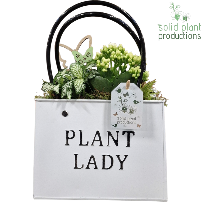 <h4>ZKE001 White Bag Large</h4>