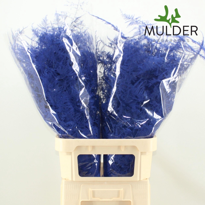 <h4>Asp Ov Klb H%</h4>