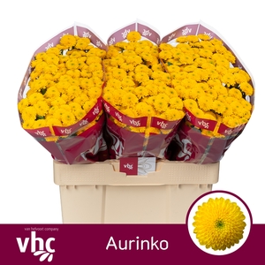 Chr San Aaa Aurinko