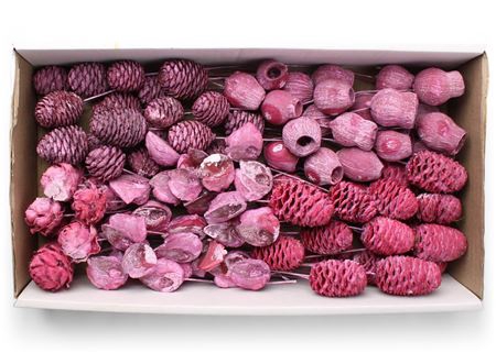 Lcd Assorti Frosted Azalea On 10cm Wire