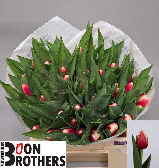 <h4>TU EN OUTFIT</h4>