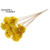 Shola Karnish Flower 6cm on stem Wax Yellow