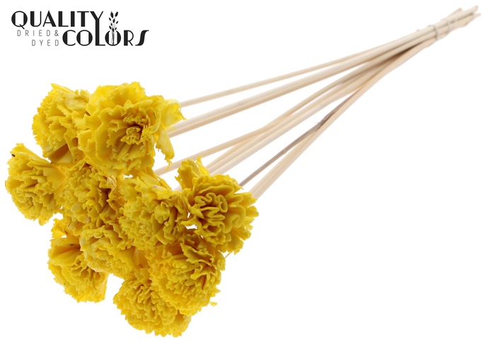 <h4>Shola Karnish Flower 6cm on stem Wax Yellow</h4>