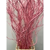 Salix 130cm Pink