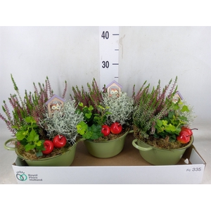 Arr.   Tuinplanten L%