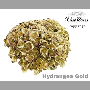 HYDR M GOLD 80cm