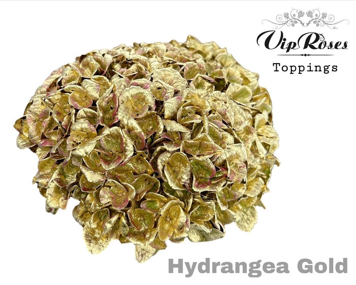 <h4>HYDR M GOLD 60cm</h4>