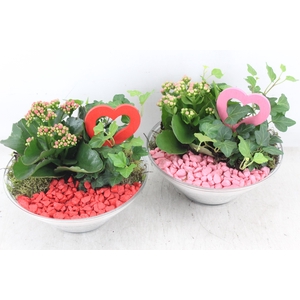 arr2 PL - Glas ribbel schaal x3 - rood/roze