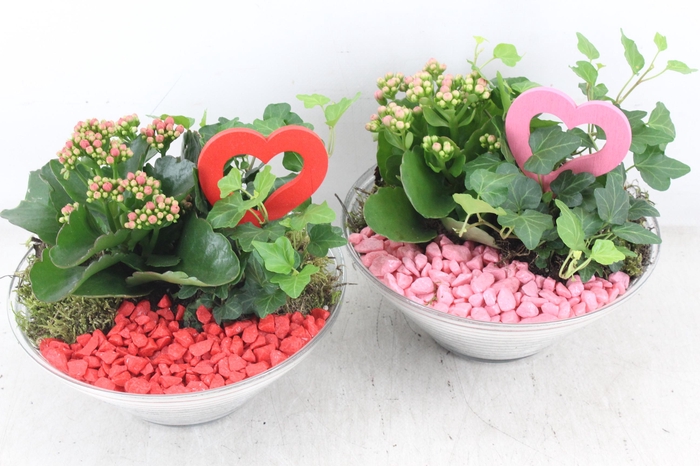 <h4>arr2 PL - Glas ribbel schaal x3 - rood/roze</h4>