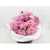 Dahlia Pink