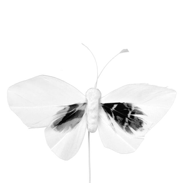<h4>Bijsteker Butterfly 6x10cm+12cm draad 48 stuks wit</h4>