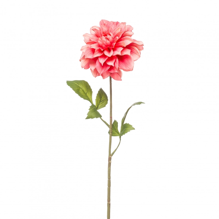 <h4>Dahlia 72cm</h4>