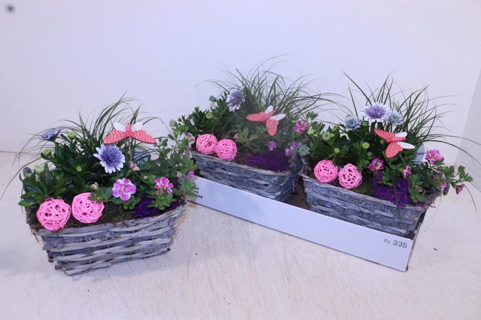 <h4>ARR TUINPLANTEN</h4>