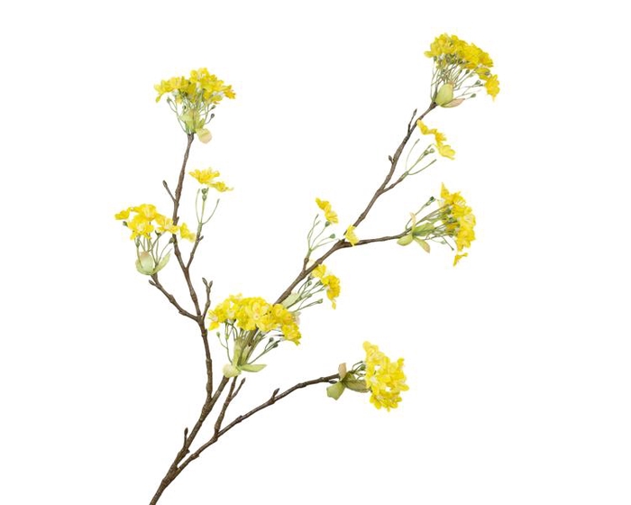 <h4>Prunus Blossom Yellow Extra</h4>
