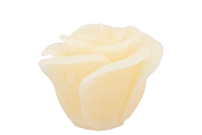 <h4>Candle Roos Ivory 11x9cm</h4>