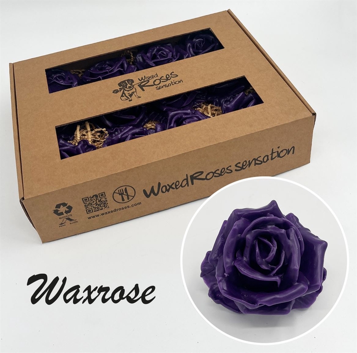 <h4>Zijde R Wx Paars</h4>