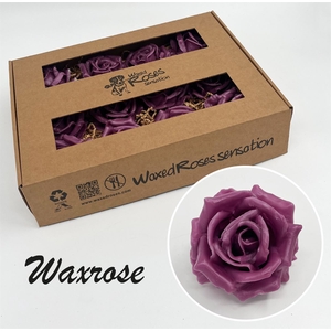 Zijde R Wx Purple (oud Paars)