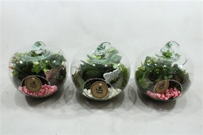 <h4>4889 GLAZEN APPEL</h4>