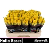 R GR MOONWALK