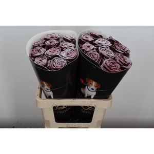 R Wx (rn) Bordeaux Glitter