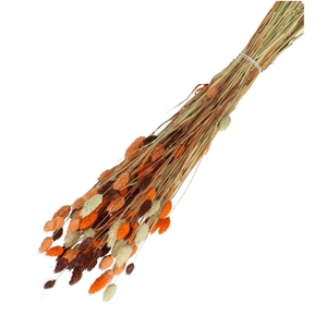 Dried flowers Phalaris mix 65cm 100g