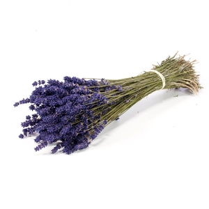 Lavender 70-80gr Extra Natural Blue
