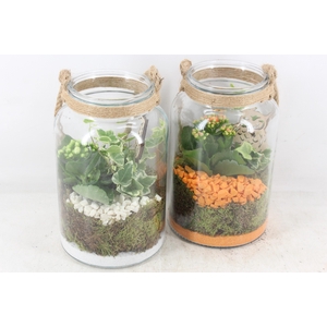 arr2 PL - Glas met touw hoog x6 - oranje/wit