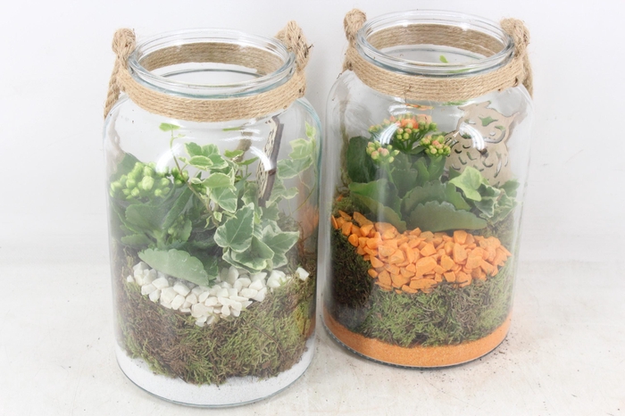 <h4>arr2 PL - Glas met touw hoog x6 - oranje/wit</h4>