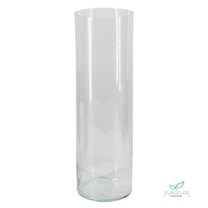 GLAS CYLINDER H50 D15