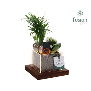 Acryl bakje LED met Arrangement Pasen