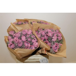 Anem Marianne Powder Wine Red