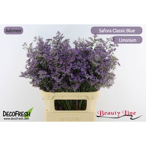 LIM SAF CLASSIC BLUE