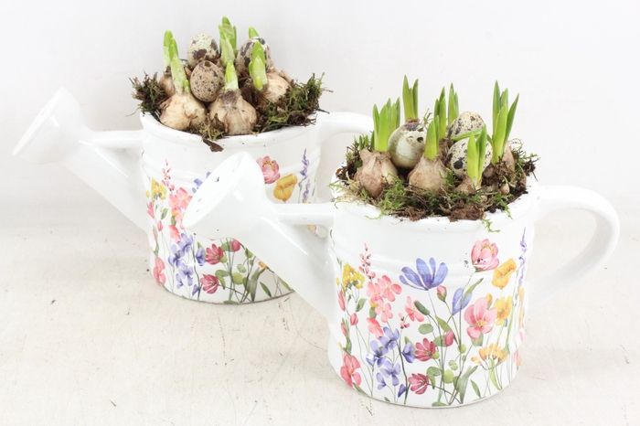 <h4>arr4 Bollenmix MB - Ker. gieter pink flower x6</h4>