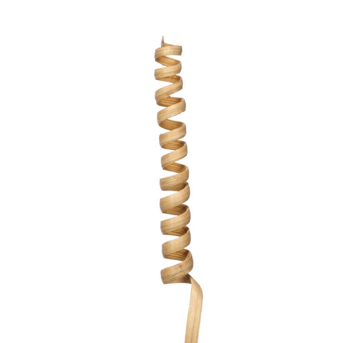 <h4>Cane Spiral Natural</h4>