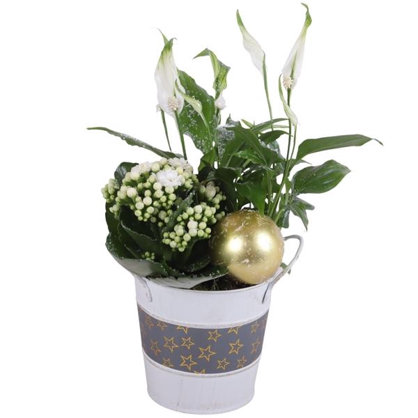 <h4>Christmas Arr. Indoor Zinc Pot Round Star Design Ø12cm 2PP</h4>