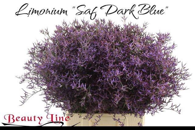 <h4>LIM SAF DARK BLUE</h4>
