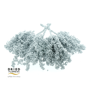 Dried Pepper Berries Silver