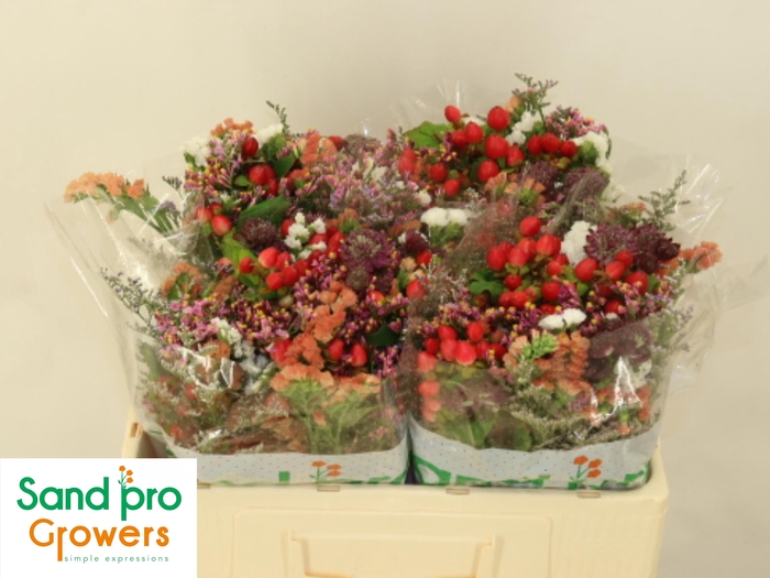 <h4>GEM ZOMERBOEKET</h4>