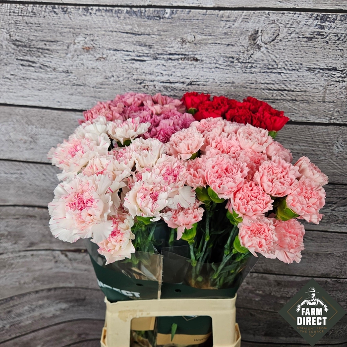 <h4>DI ST GEMENGD IN FUST</h4>