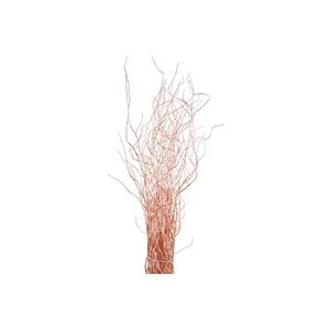 Salix Klb Copper