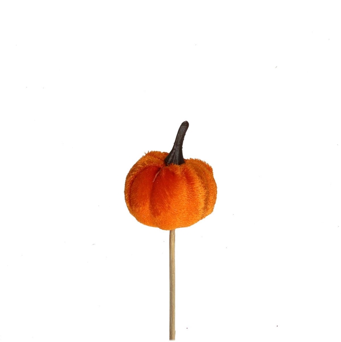 <h4>10cm Pompoen velvet 4cm</h4>
