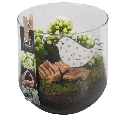 <h4>PTIG6839 Arrangementen kamerplanten</h4>