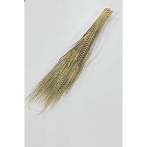 DROOG BARLEY DROOG BARLEY