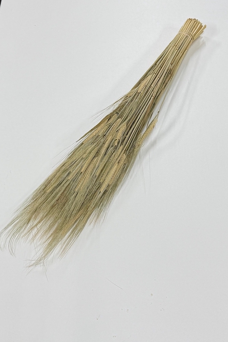 <h4>DROOG BARLEY DROOG BARLEY</h4>